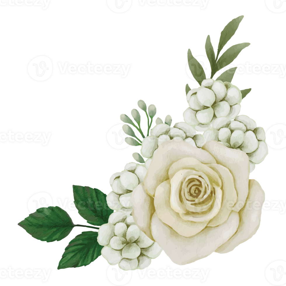 Flower white rose, floral bouquet Clip art Element Transparent ...