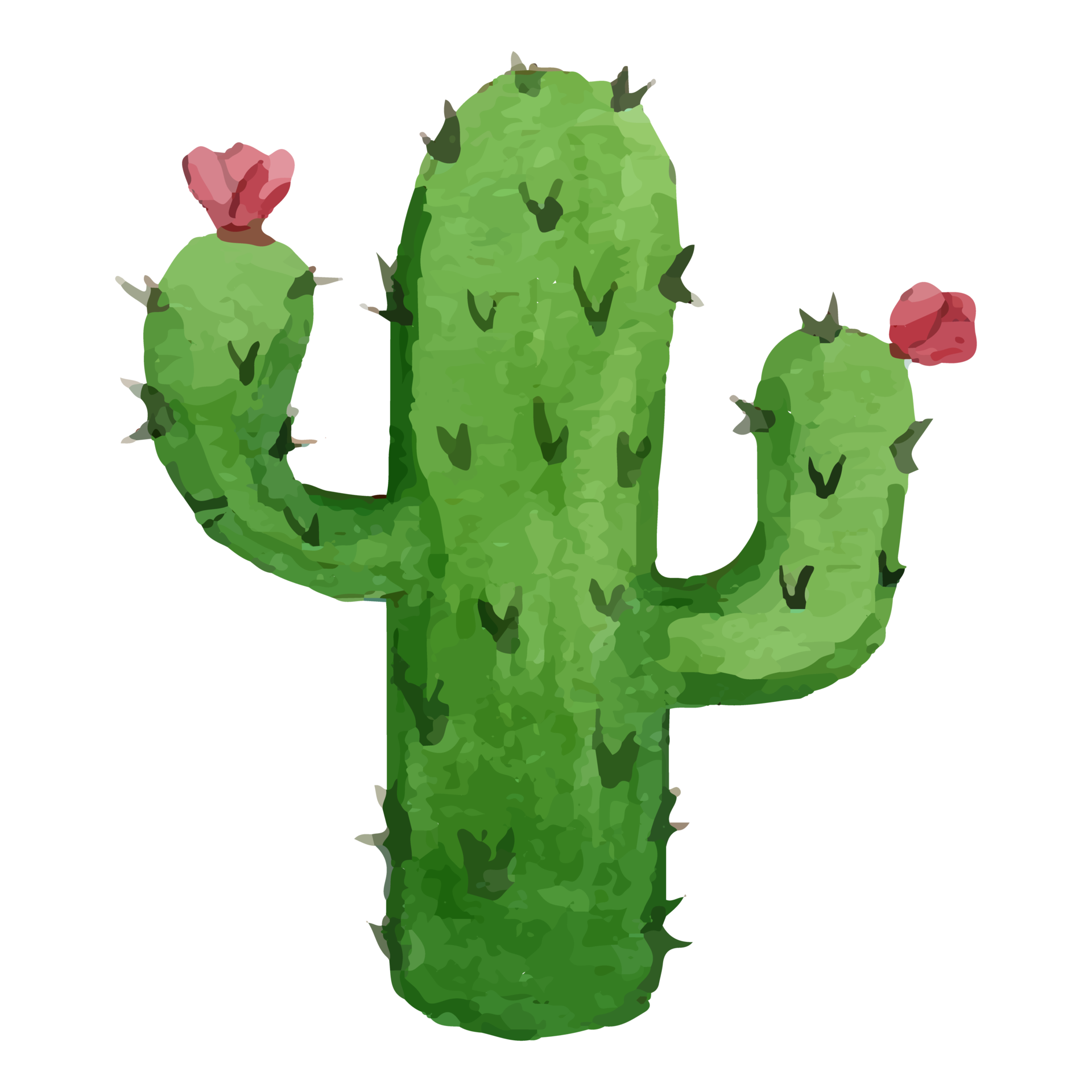 Cactus Clipart Transparent Background - Cactos Png, Png Download -  3558x8000 PNG 