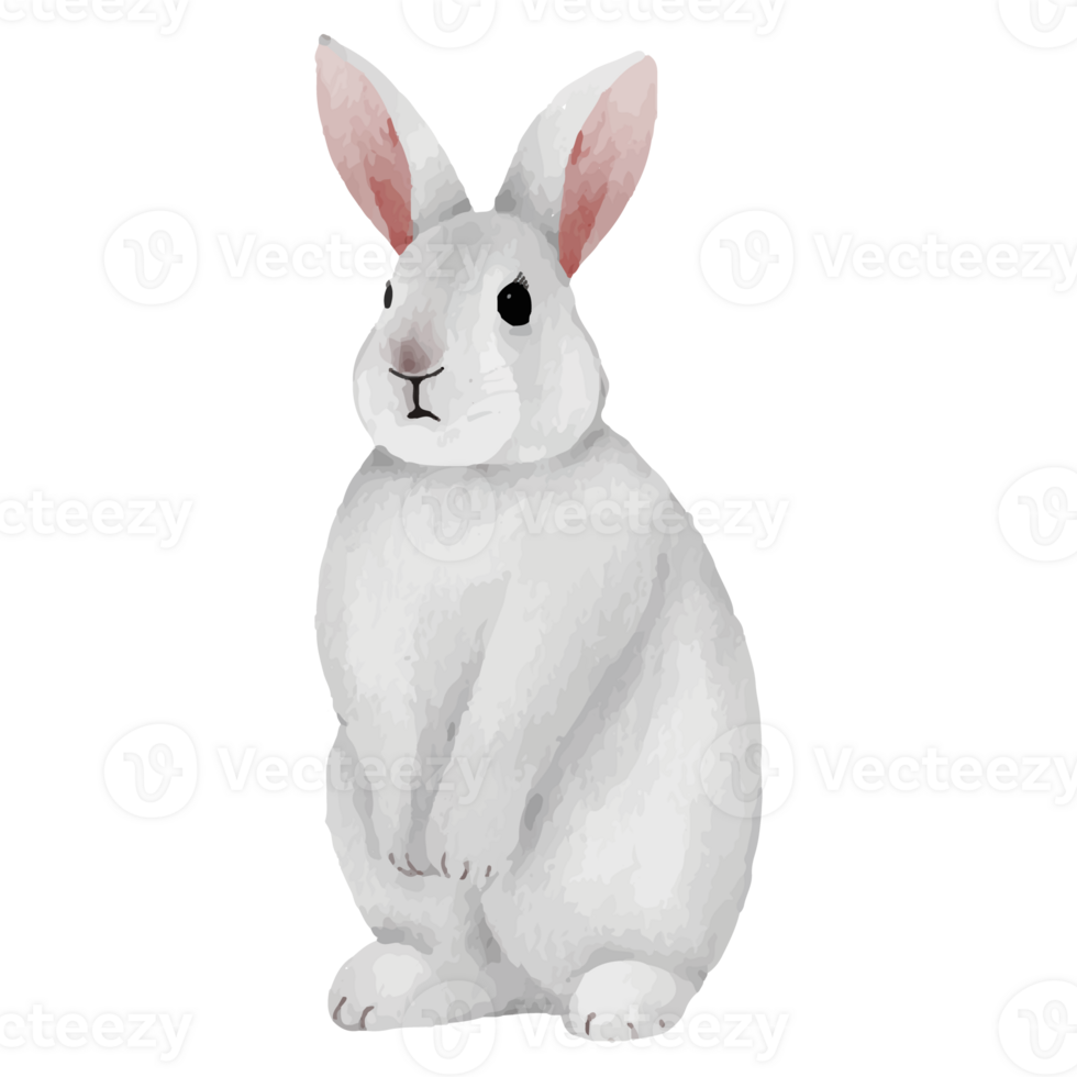 Cute Rabbit Clip art Element Transparent Background png