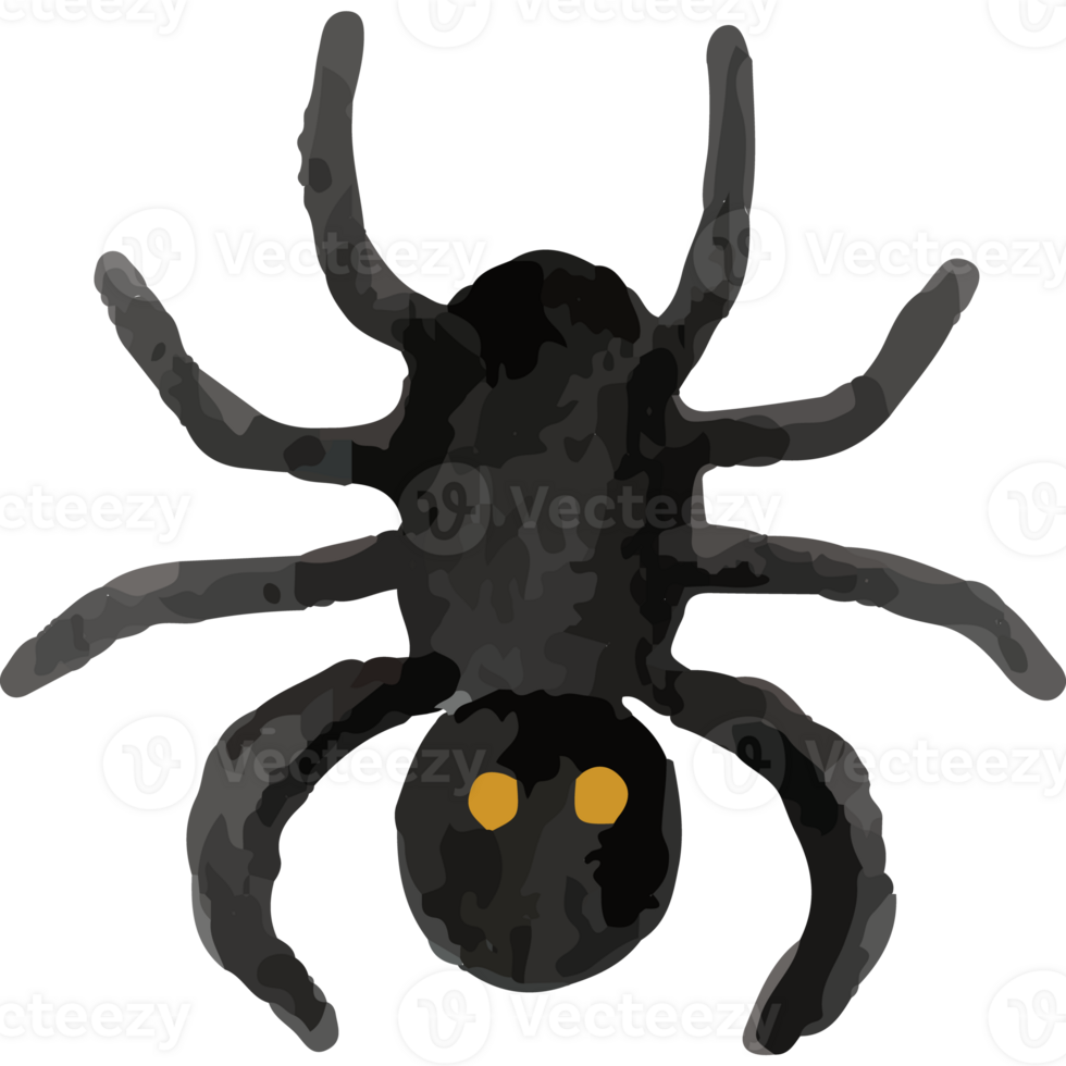 Spider Halloween Clip art Element Transparent Background png