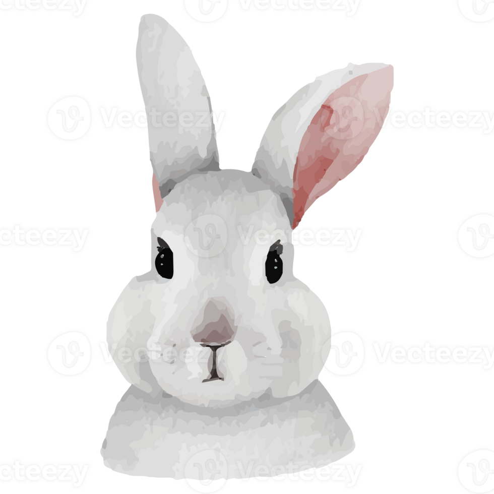 Cute Rabbit Clip art Element Transparent Background png