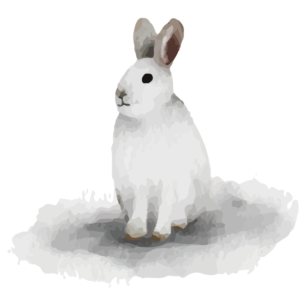 Rabbit Winter Animal Polar animal Clip art Element Transparent Background png