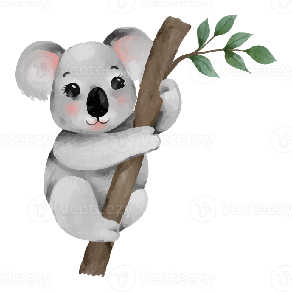 Cute Cartoon Koala, Lazy koalas Clip art Element Transparent Background png