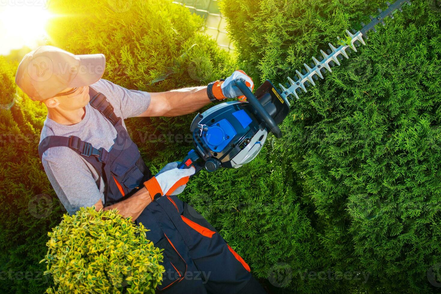 Plants Trimming Works photo