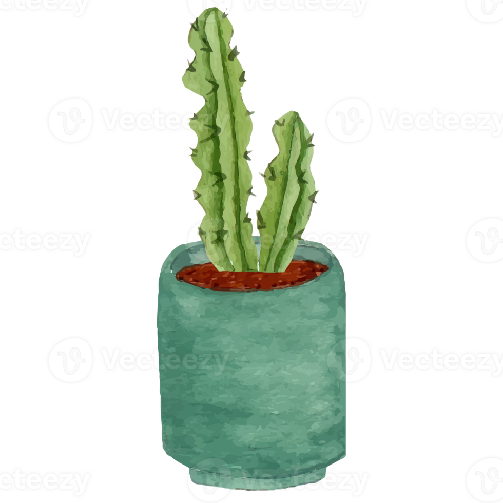 Cactus In Pot Clip art Element Transparent Background png