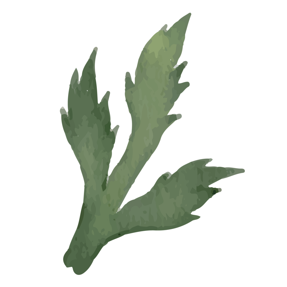 Flower Leaf Clip art Element Transparent Background png