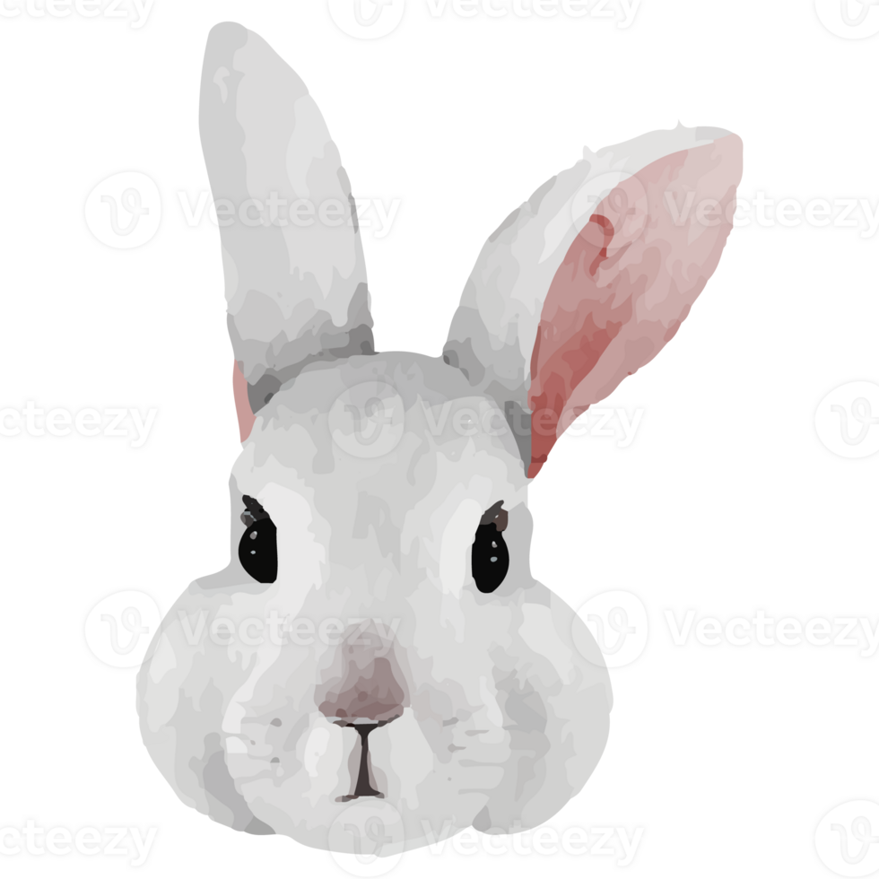 Cute Rabbit Clip art Element Transparent Background png
