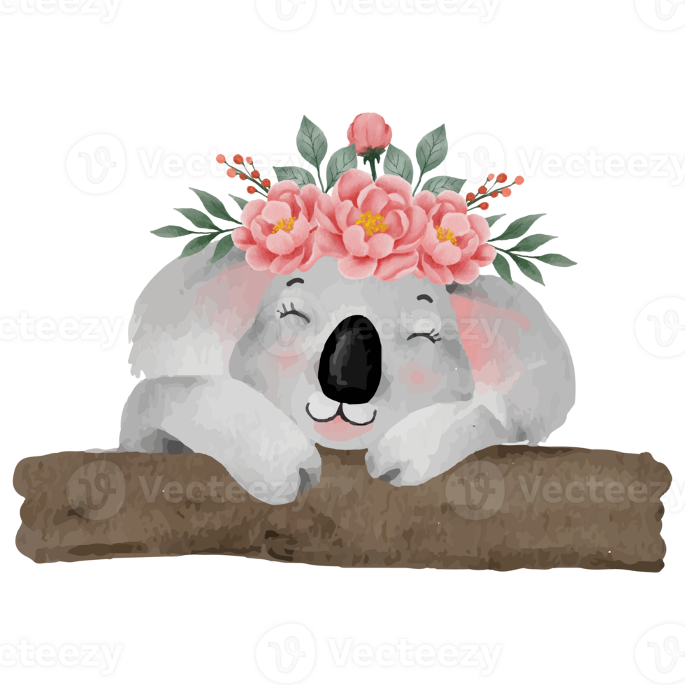 Cute Cartoon Koala, Lazy koalas Clip art Element Transparent Background png
