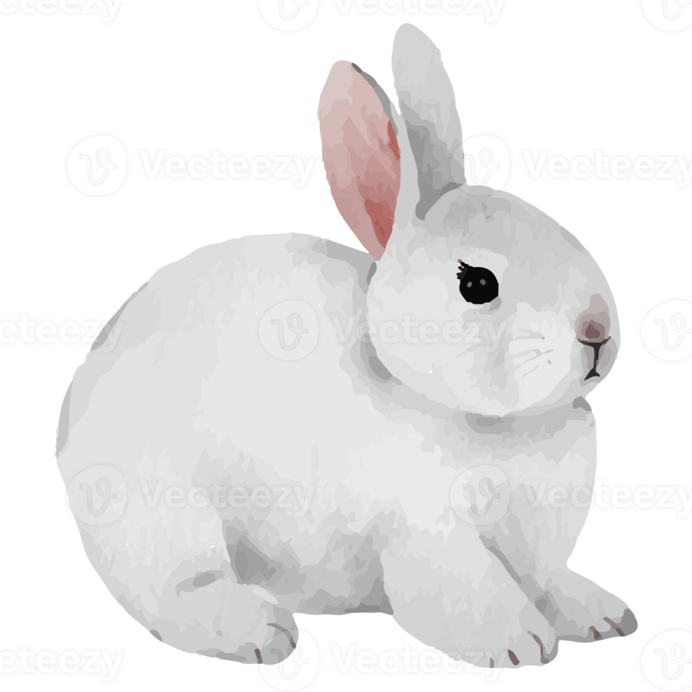Cute Rabbit Clip art Element Transparent Background png