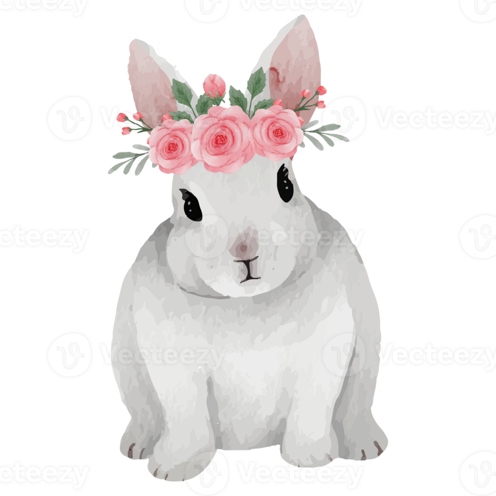 Cute Rabbit Clip art Element Transparent Background png
