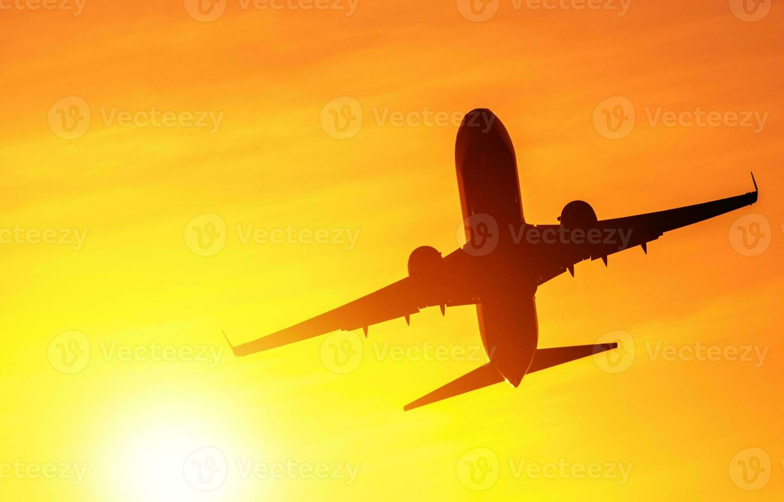 Airplane Taking Off in the Sun photo