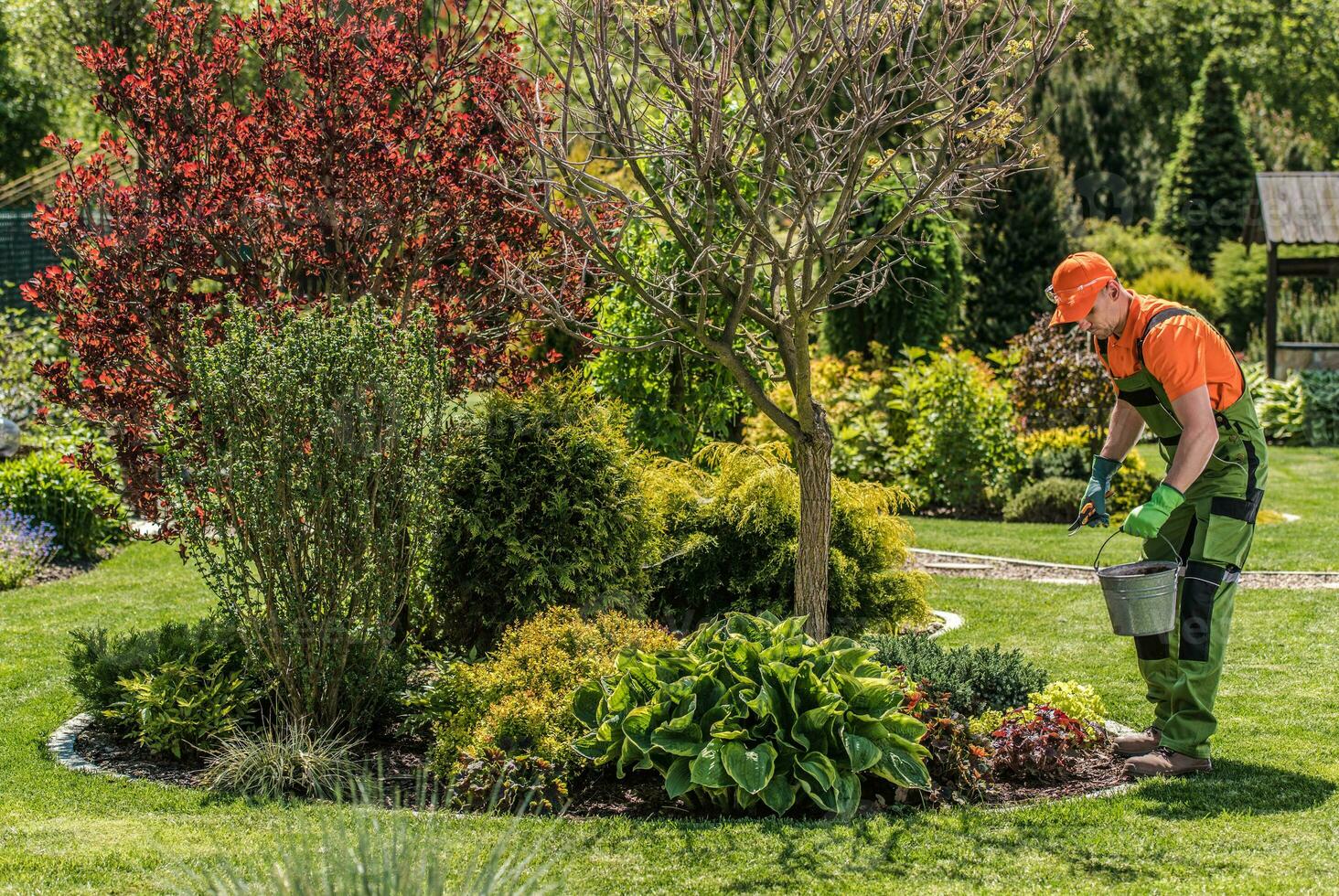 Landscape Proferssional Taking Care Of Garden. photo