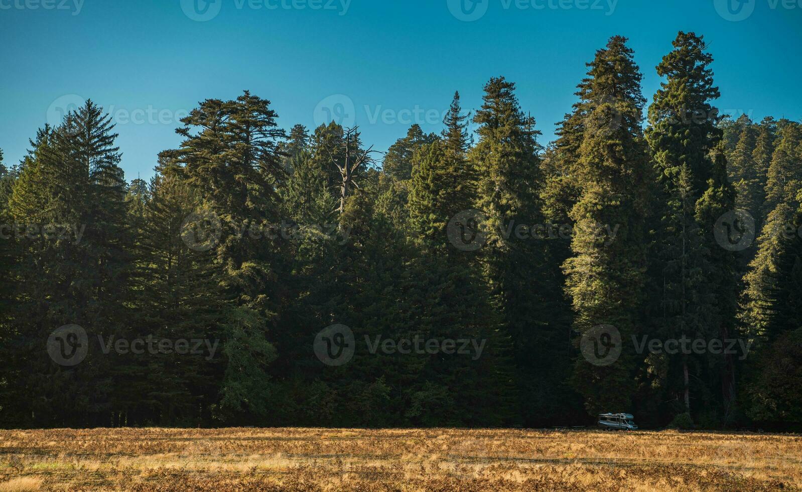 RV Camper Van on a Side of the Redwood Forest photo