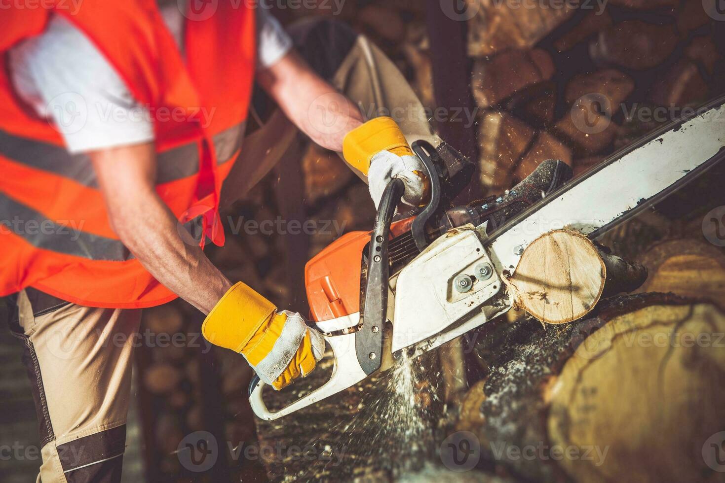 Worker Wood Cutting photo