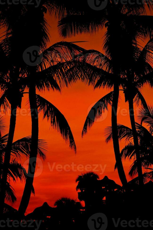 Beach Sunset view photo