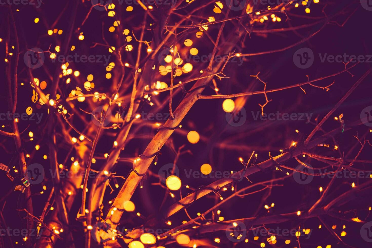 Holiday Lights Background photo