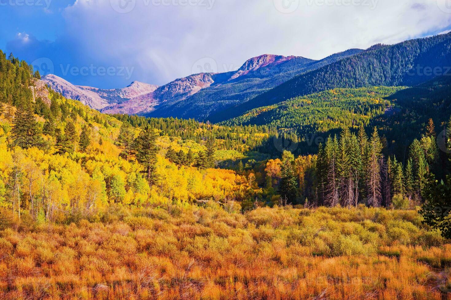 Scenic Aspen Lanscape photo