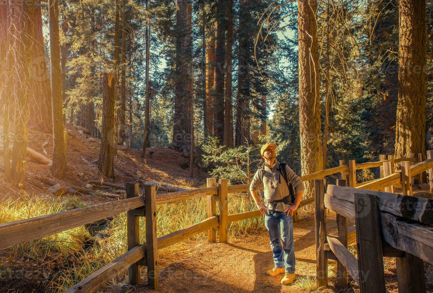 Tourist Exploring Sierra Nevada photo