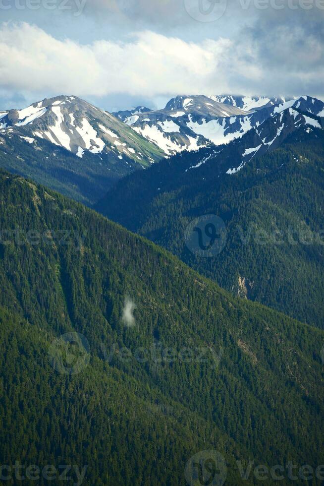 Olympic Peninsula View photo