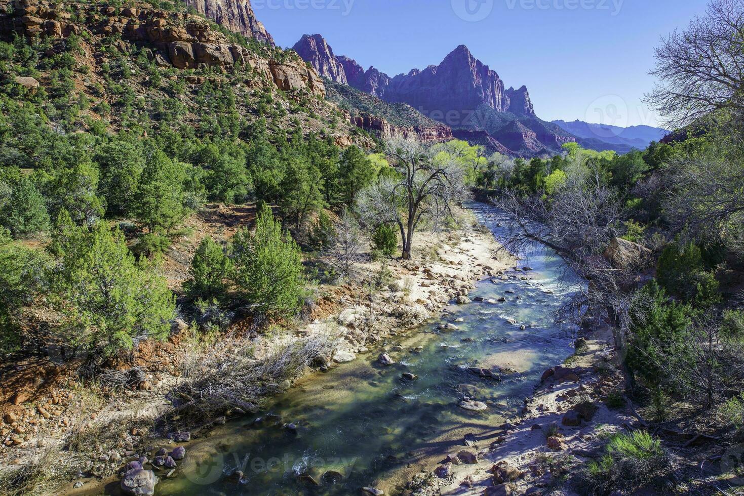 Spring in Zion National Park photo