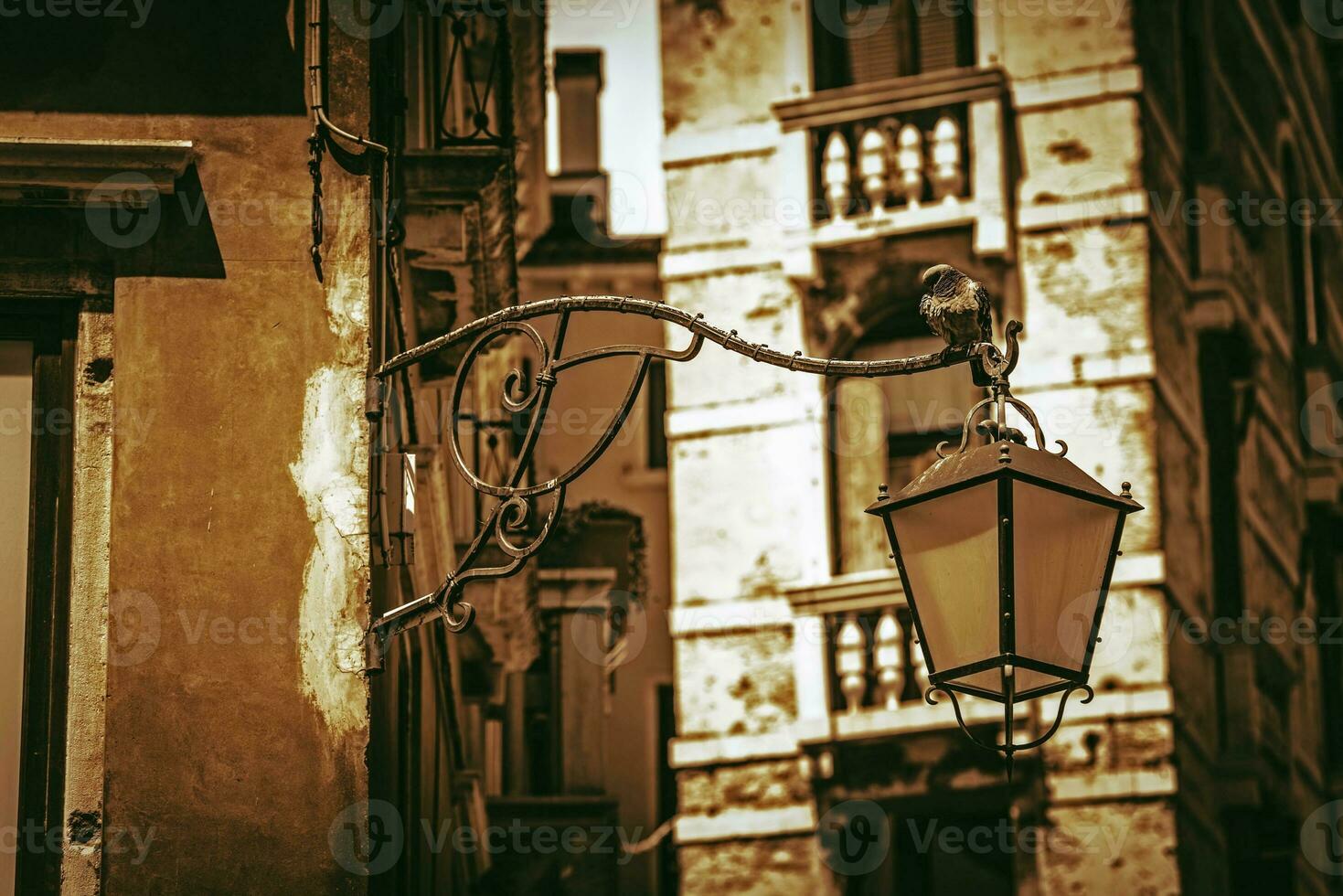 Italian Architecture Theme photo