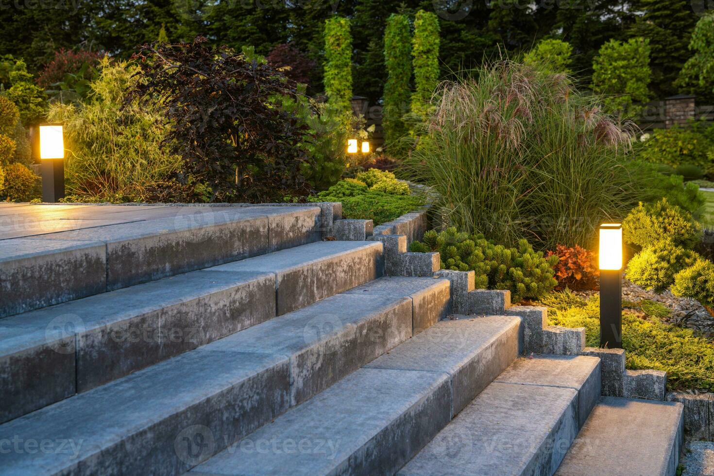 ajardinado jardín con hormigón escalera y decorativo iluminación foto