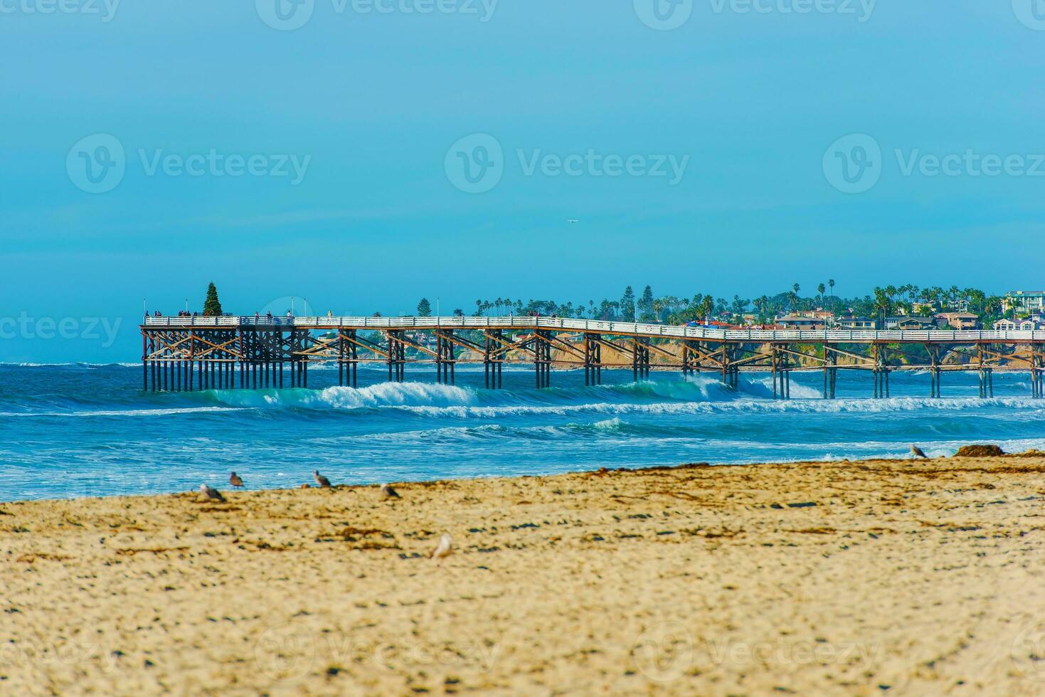 san diego playa y muelle foto