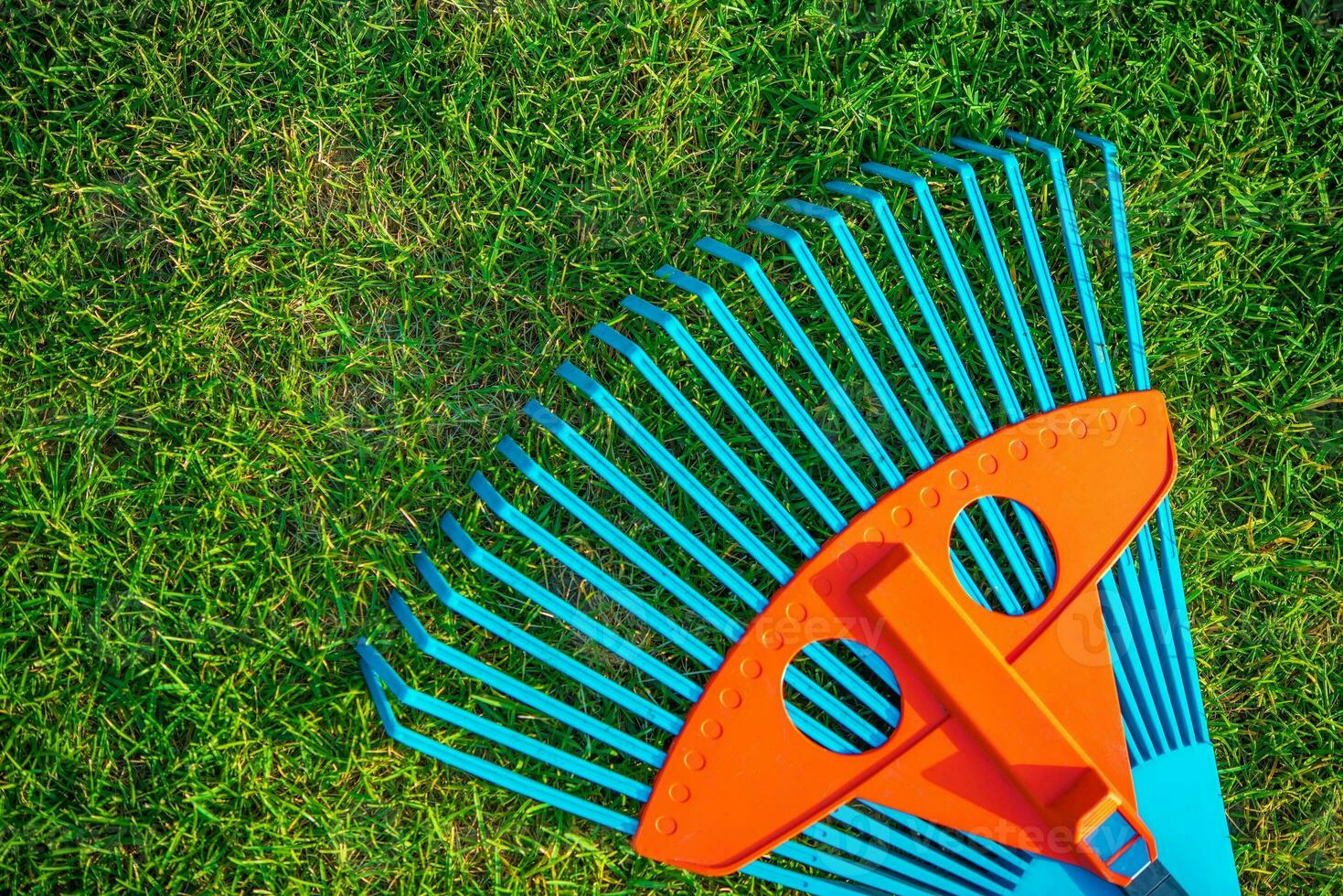 Garden Rake on Grass photo