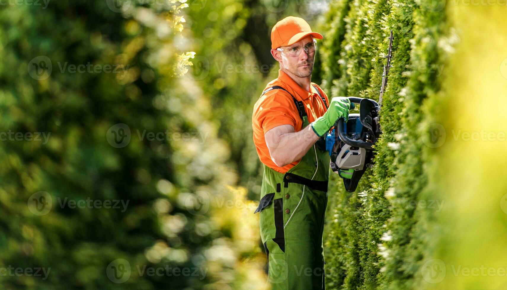Hedge Trimming Job photo