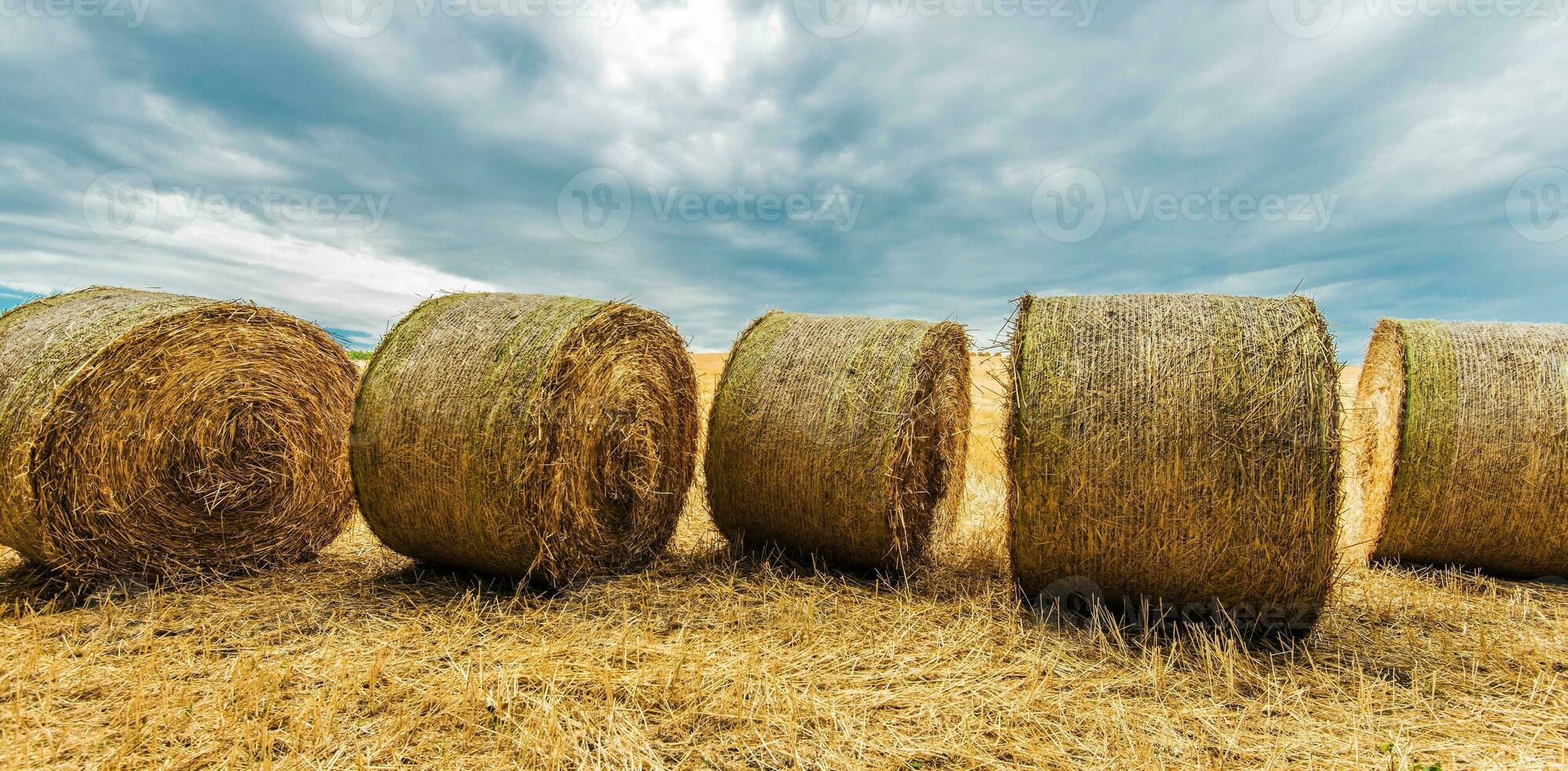 Countryside Hay Bales photo