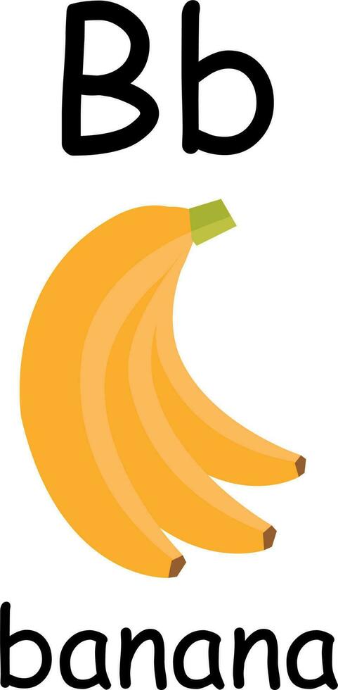 letter b like an banana of english alphabet, english education vector