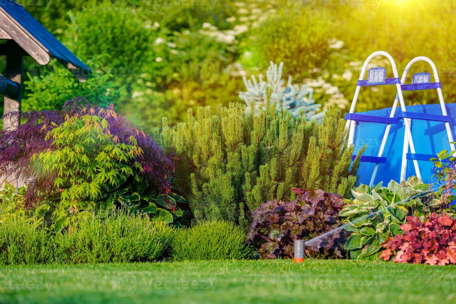 Beautiful Backyard Garden photo