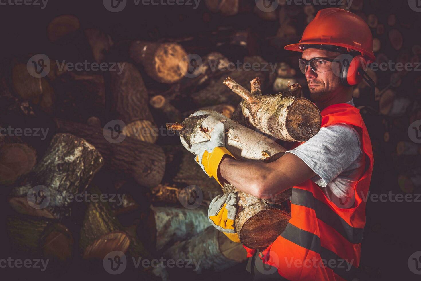 Timber Lumber Work photo