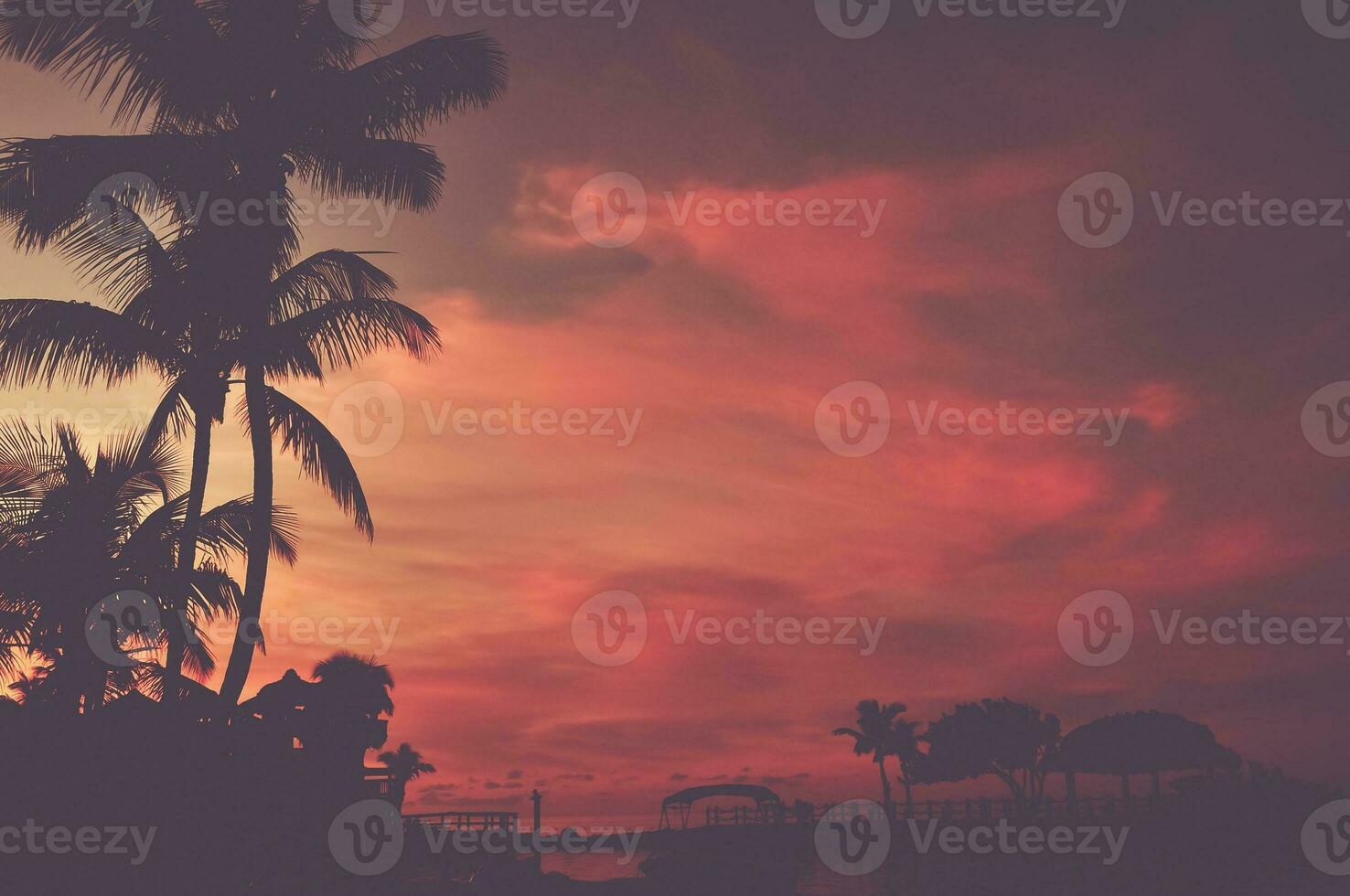 Scenic Tropical Beach Sunset photo