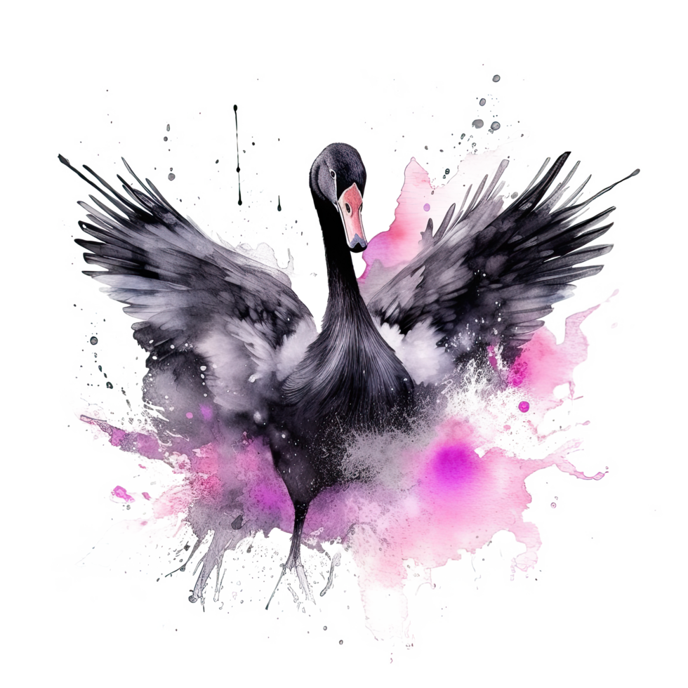 Watercolor black swan. Illustration png