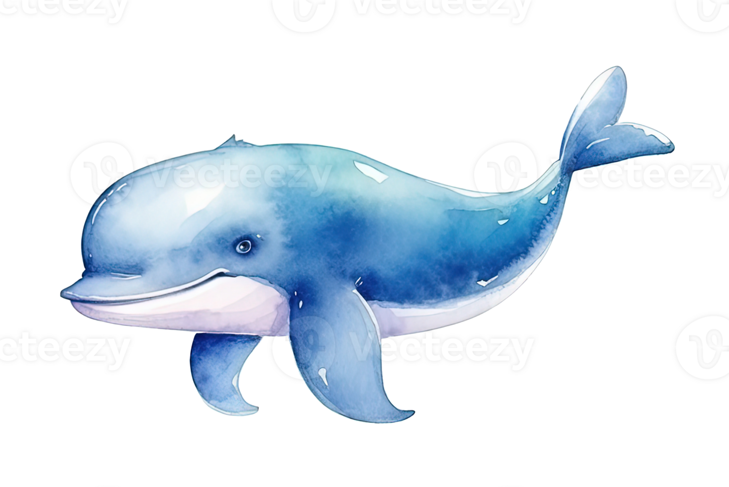 Watercolor Blue Whale Illustration png