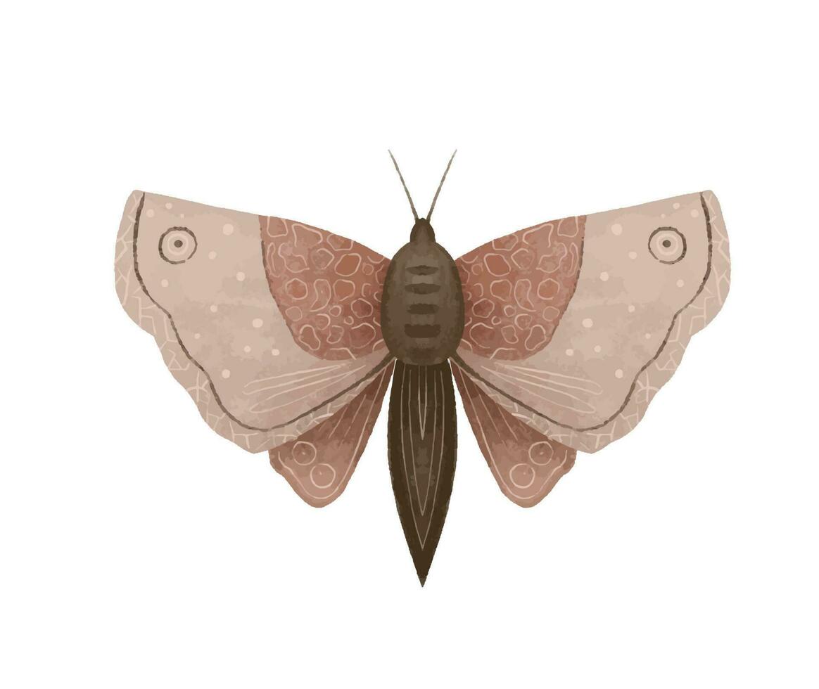 místico luna polilla vector ilustraciones, linda dibujos animados mosca baterista celestial noche mariposa. magia insecto en blanco antecedentes. diseño para boho póster, invitaciones, t camisa imprimir, pegatina.