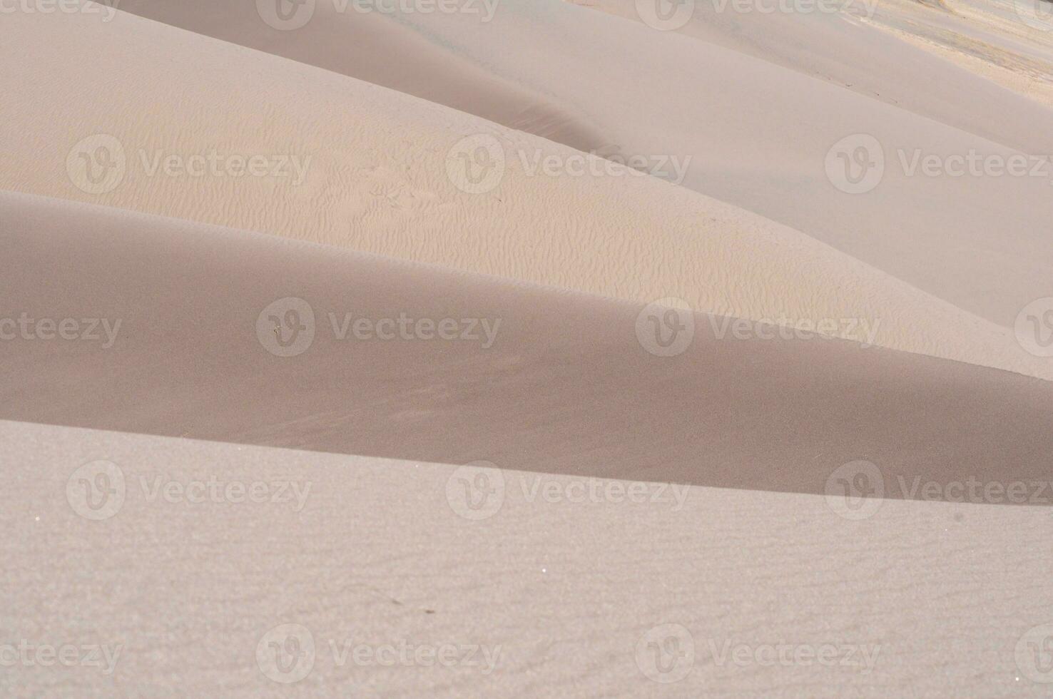 The Dunes Close-up photo