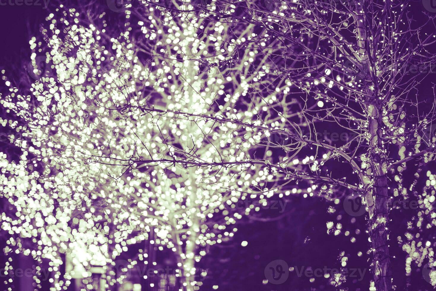 Purple Holiday Backdrop photo