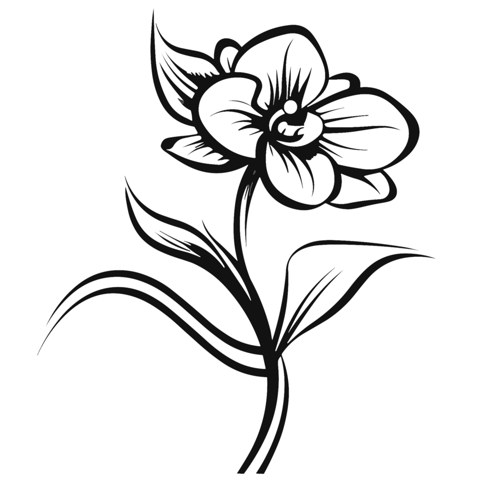 Beautiful Orchid Flower - png