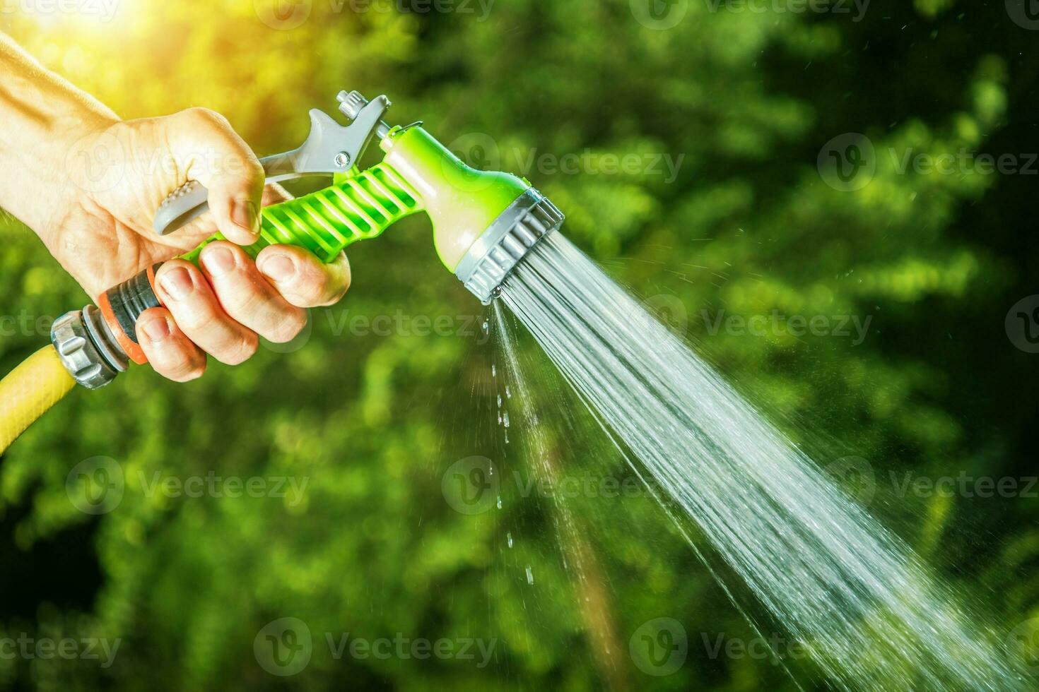 Garden Watering Closeup photo
