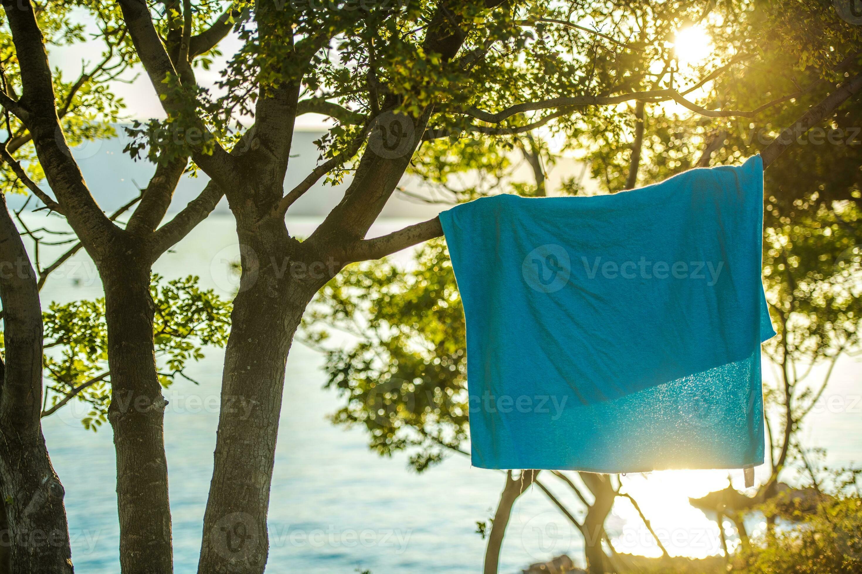 Wet Towel on a Tree Branch 24632791 Stock Photo at Vecteezy