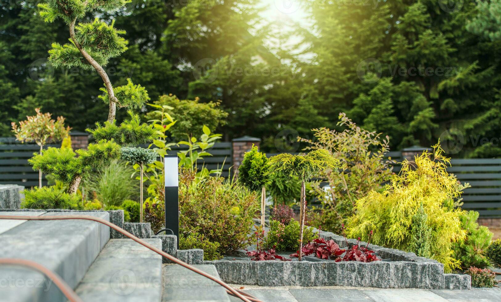 Residential Backyard Garden Landscaping Design photo