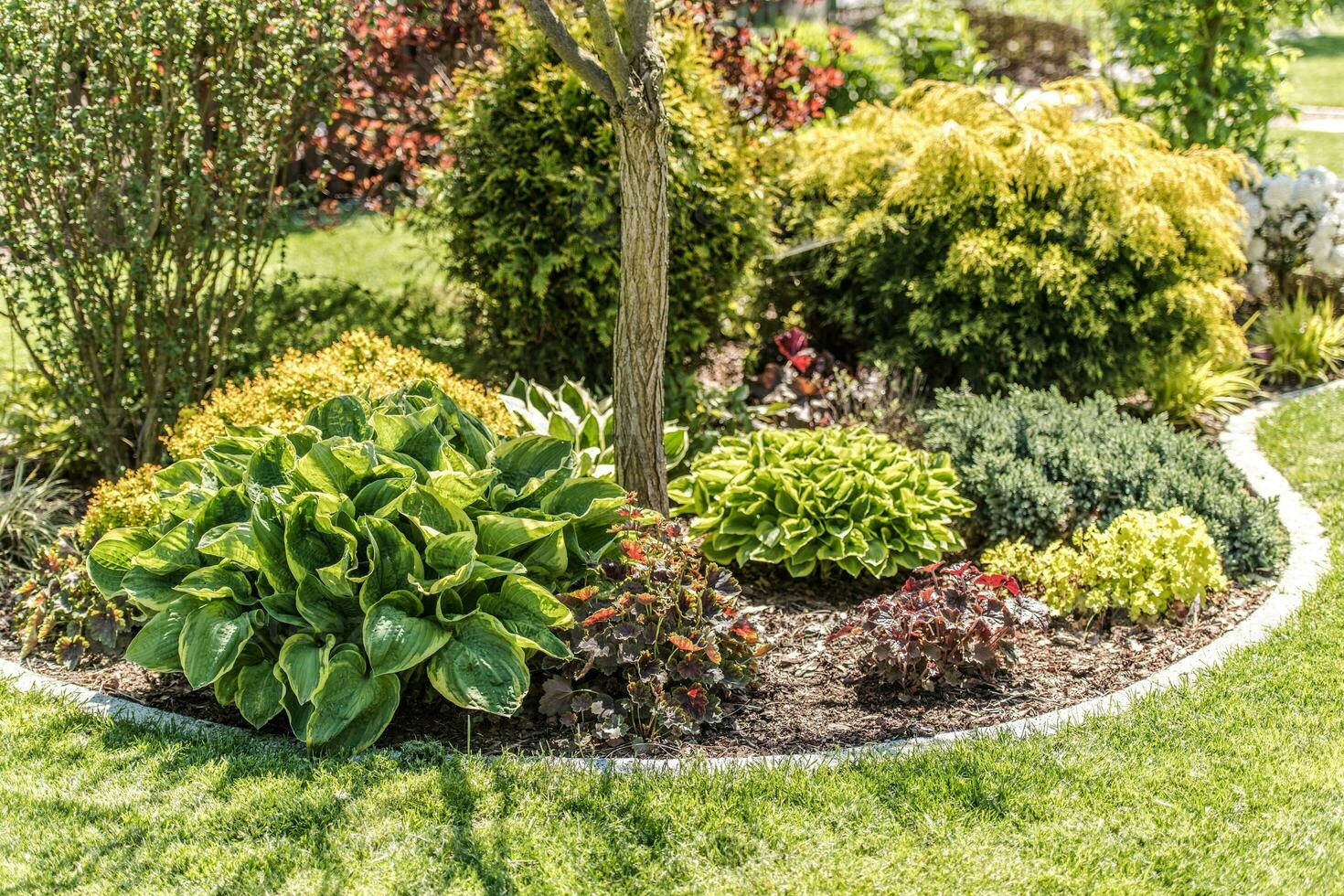 Garden Plants Island photo