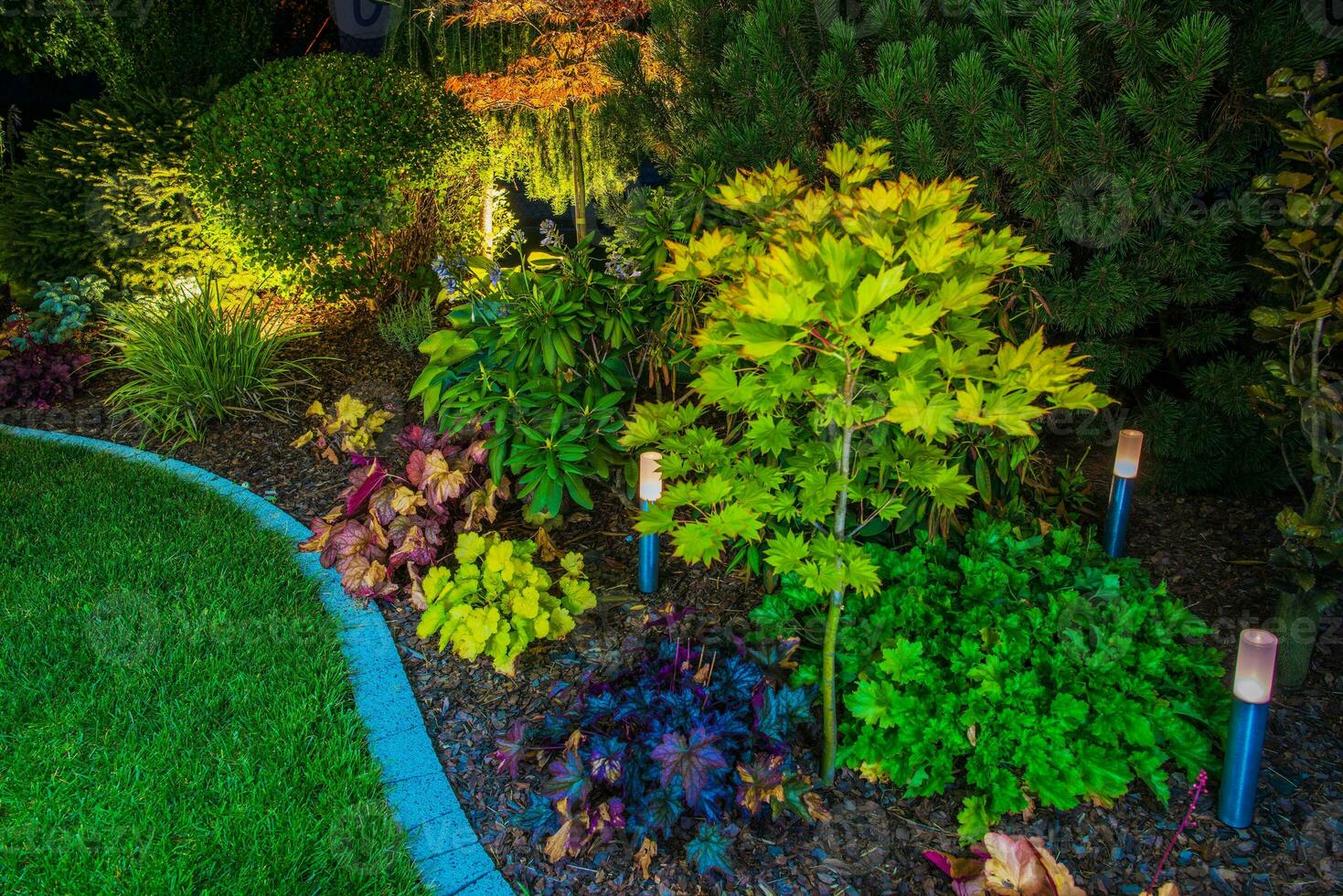 Solar Lights in Landscaped Garden photo