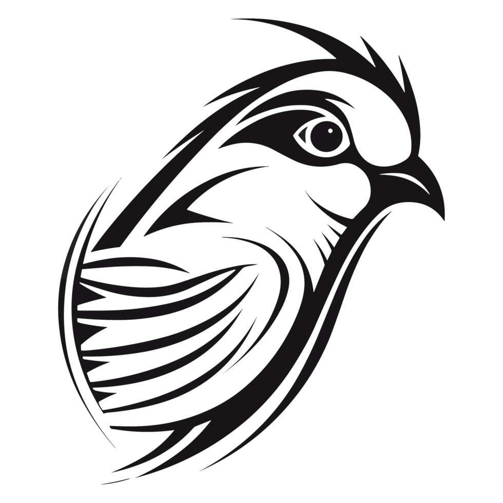 Beautiful Dove Silhouette - png