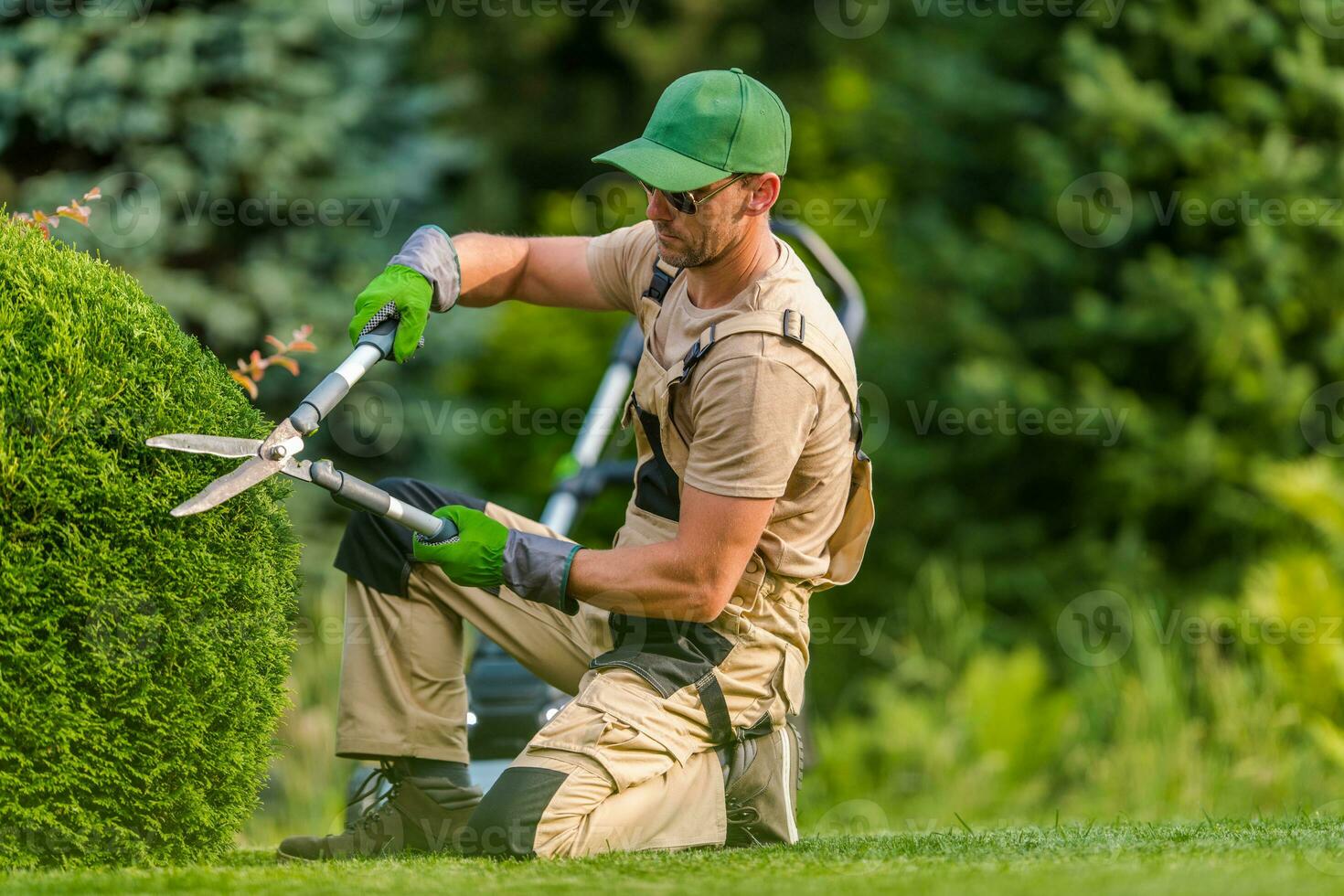 Professional Garden Worker Trimming Plants Using Scissors photo