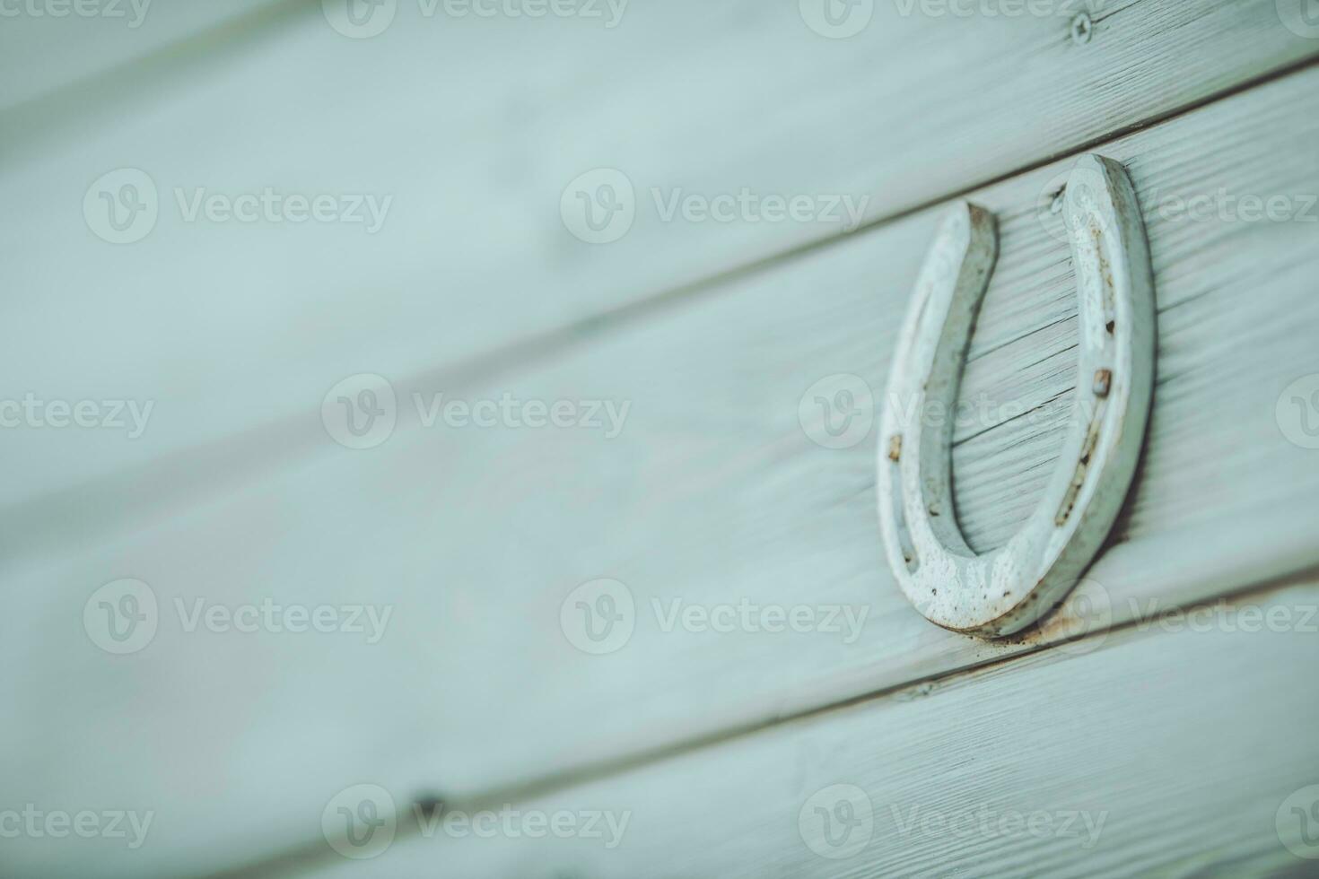 Horseshoe on a Wall photo
