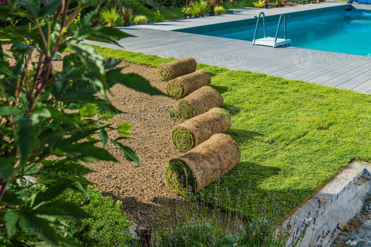 instalación de instante césped alrededor el piscina foto