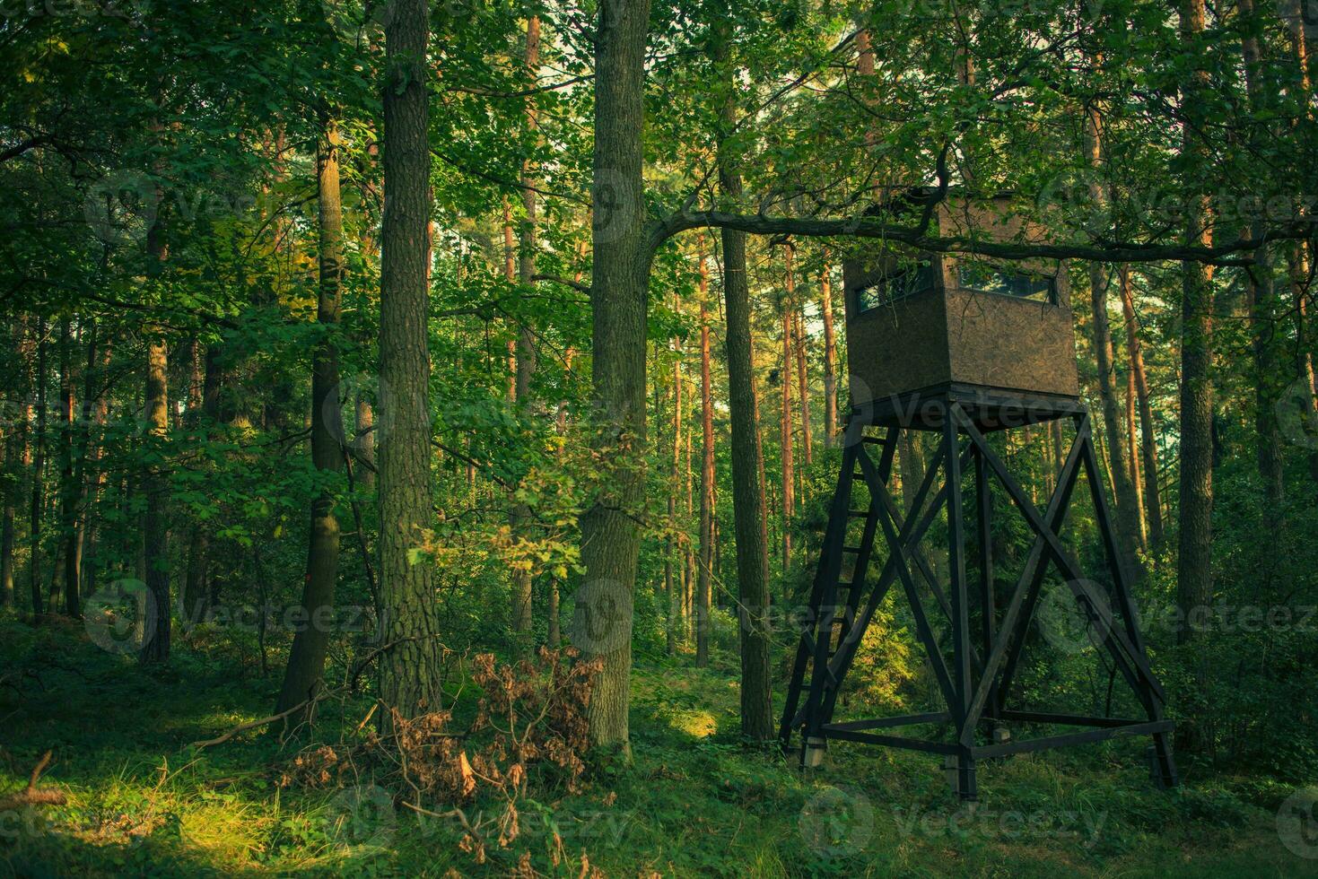 Observation Hunting Tower In Forest. photo